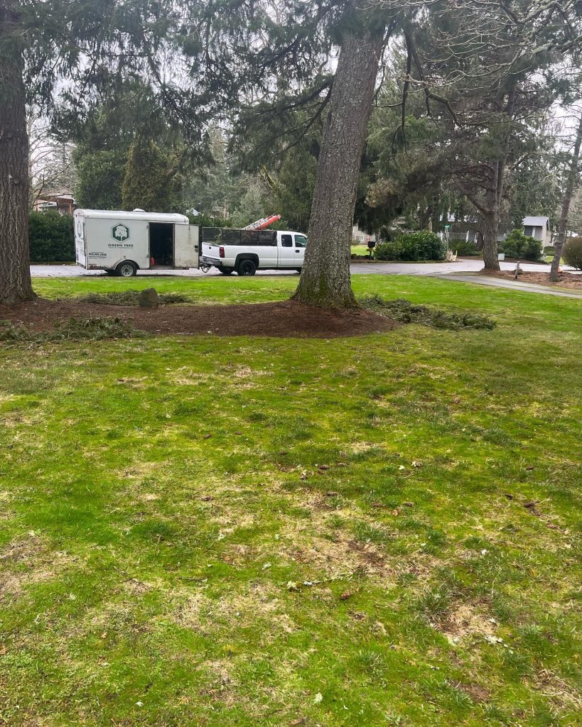 Landscaping in Tualtin, OR