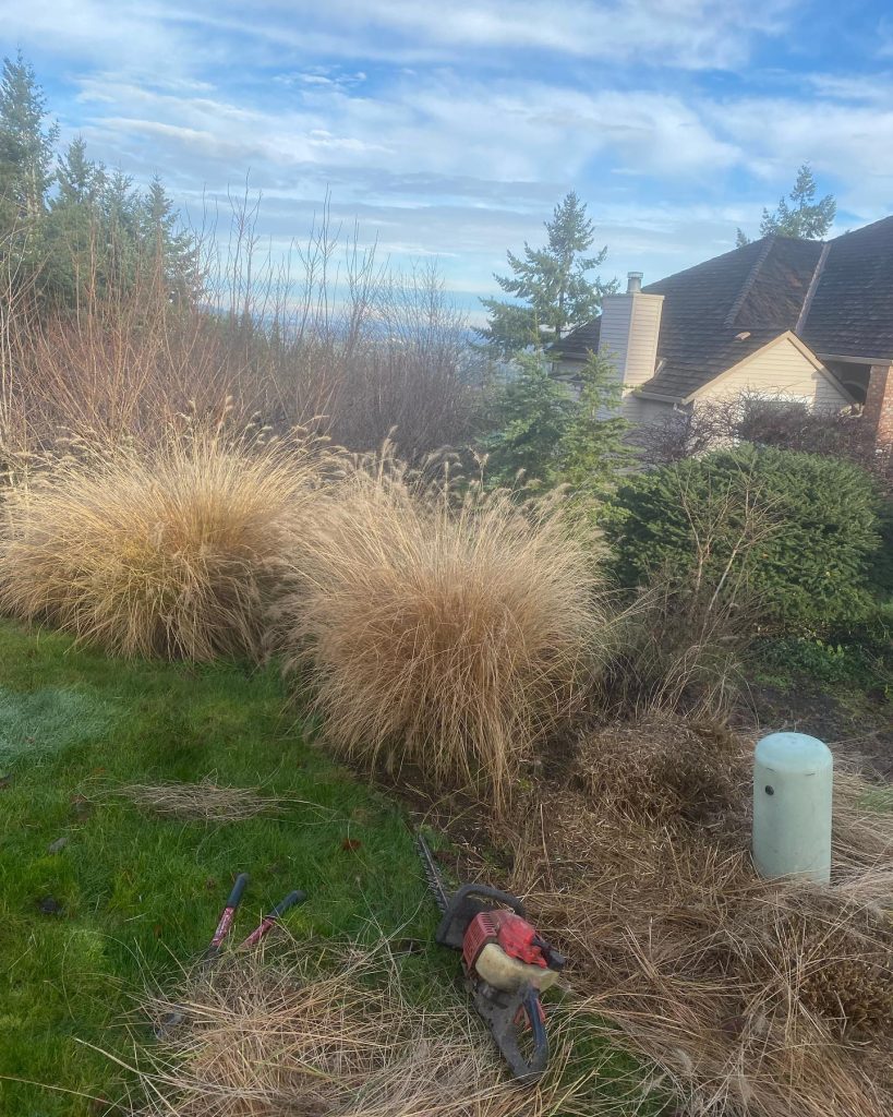 Landscaping in Tualtin, OR